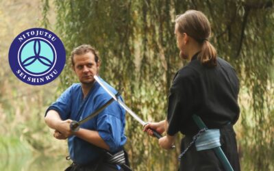 Két Kard Iskolája Sportegyesület – Ni to Jutsu harcművészeti bemutató