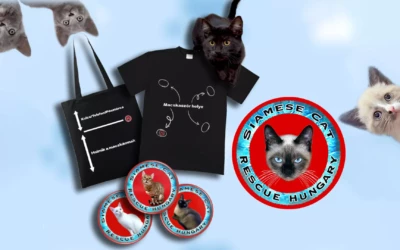 Sziámi Macska Fajtamentő Alapítvány