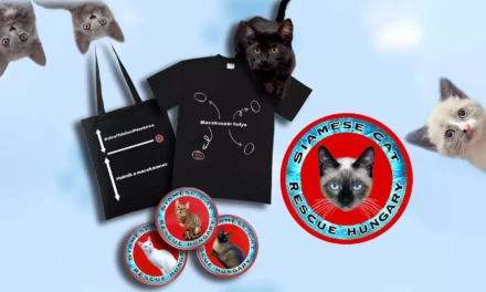 Sziámi Macska Fajtamentő Alapítvány